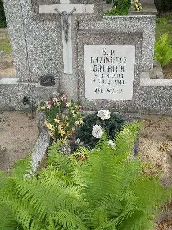 Zdjęcie grobu 22/100