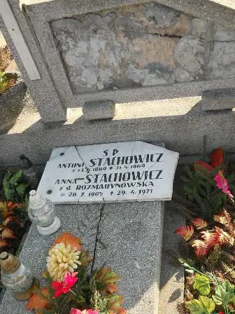 Zdjęcie grobu 2/100