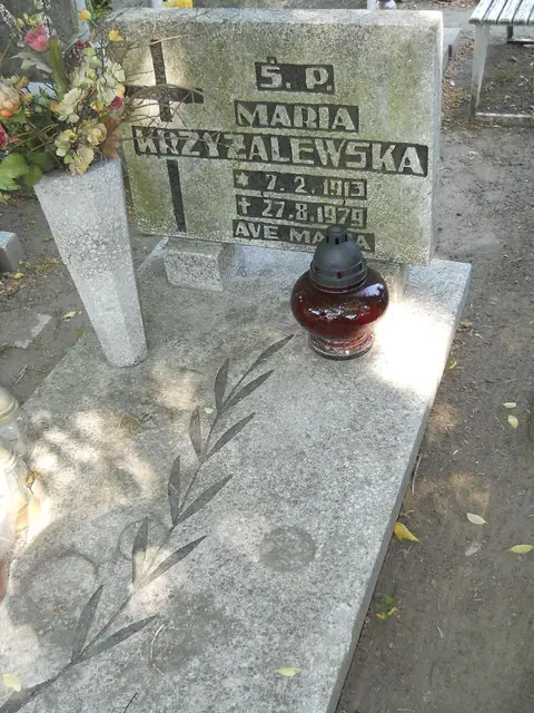 Zdjęcie grobu 7/11904