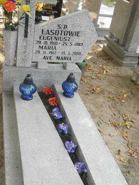 Zdjęcie grobu 19/28584