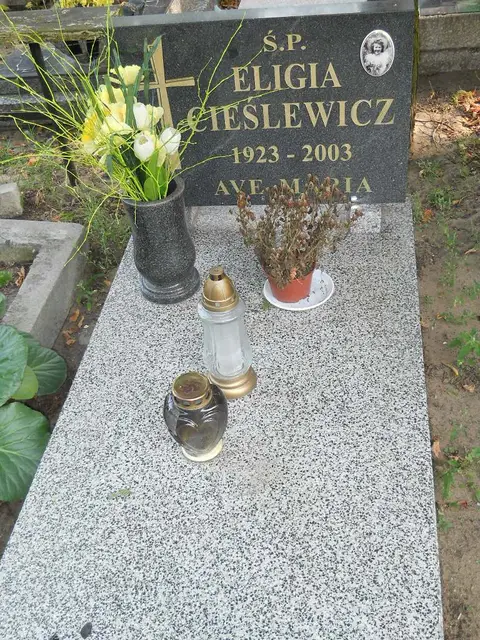 Zdjęcie grobu 15/26710