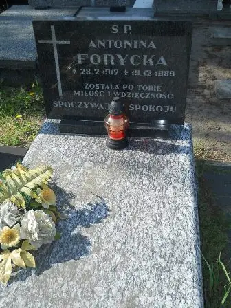 Zdjęcie grobu 20/64