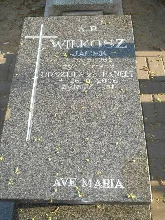 Zdjęcie grobu 7b/46