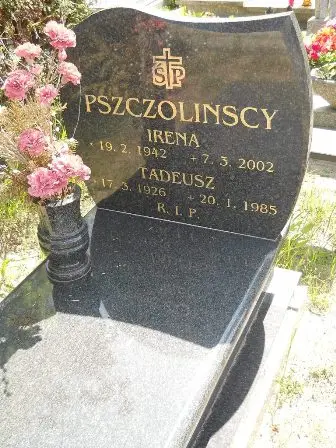 Zdjęcie grobu 25/339,340