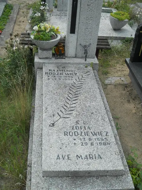 Zdjęcie grobu 9/24565