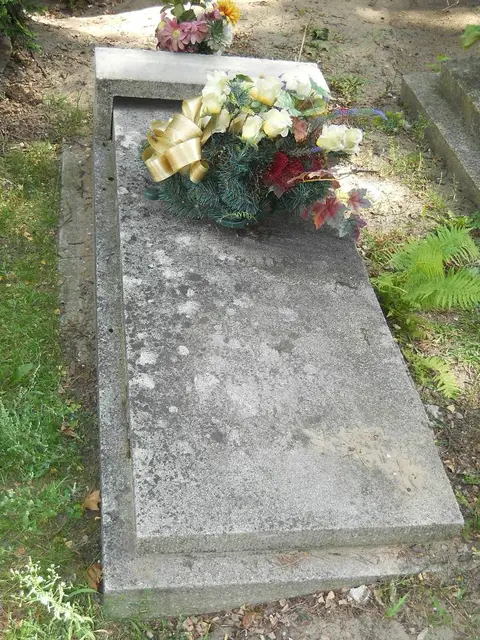 Zdjęcie grobu 6/24266