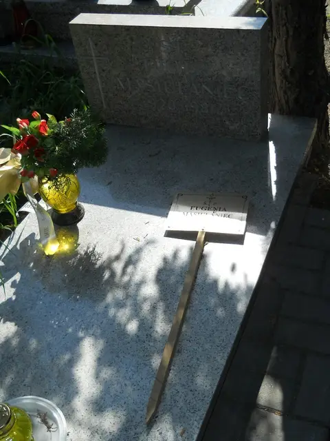 Zdjęcie grobu 7/11971