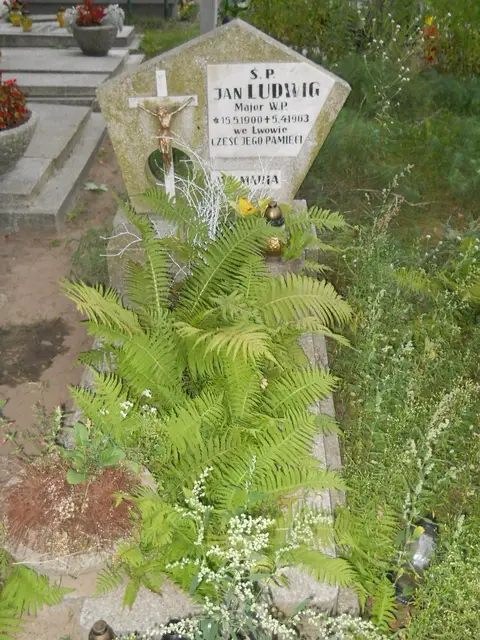 Zdjęcie grobu 20/29088
