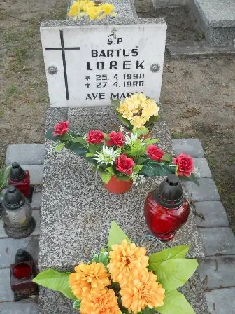 Zdjęcie grobu 7b/100