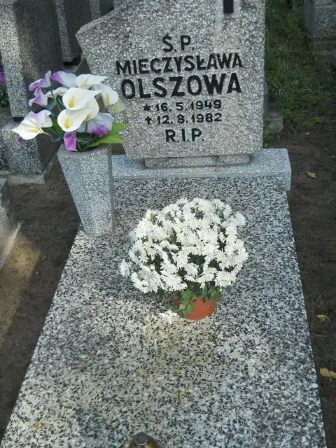 Zdjęcie grobu 16/26440