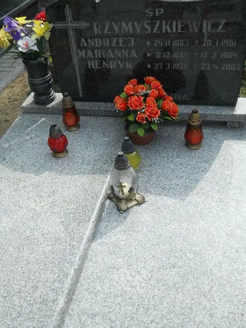Zdjęcie grobu 16/26278