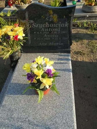 Zdjęcie grobu 45/24