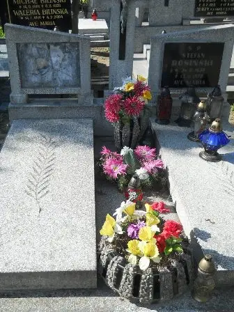 Zdjęcie grobu 35/114,115