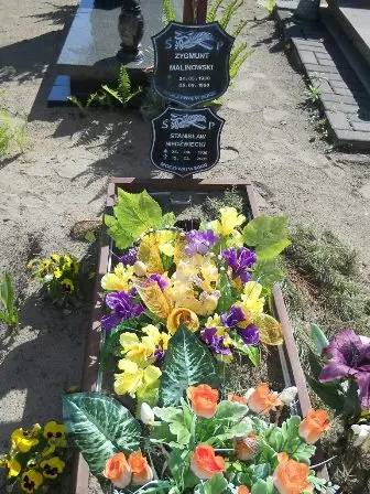 Zdjęcie grobu 46/168