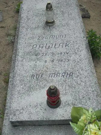 Zdjęcie grobu 41/100
