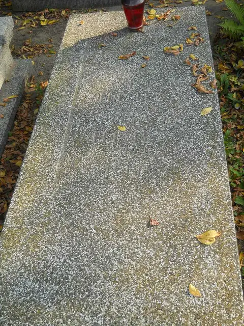 Zdjęcie grobu 15/26631