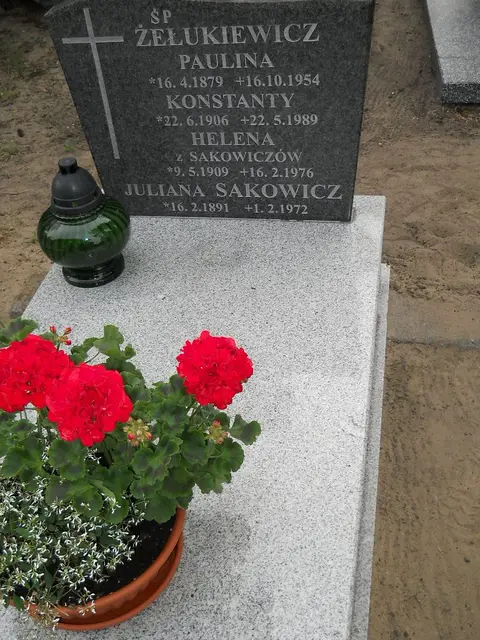 Zdjęcie grobu 7/11156