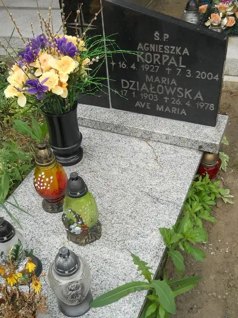 Zdjęcie grobu 7/10896