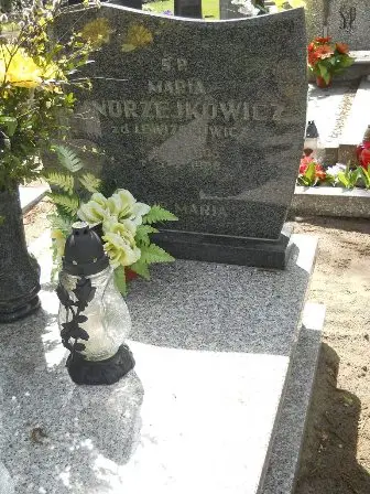 Zdjęcie grobu 39/100