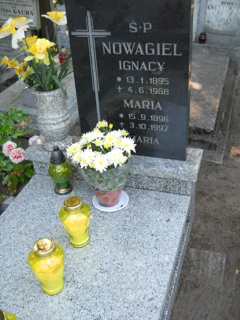 Zdjęcie grobu 8/10427
