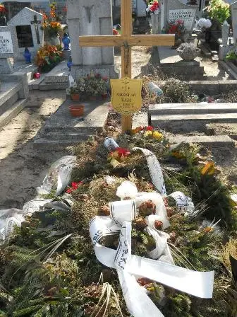 Zdjęcie grobu 8/12