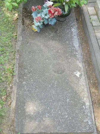 Zdjęcie grobu 11/100