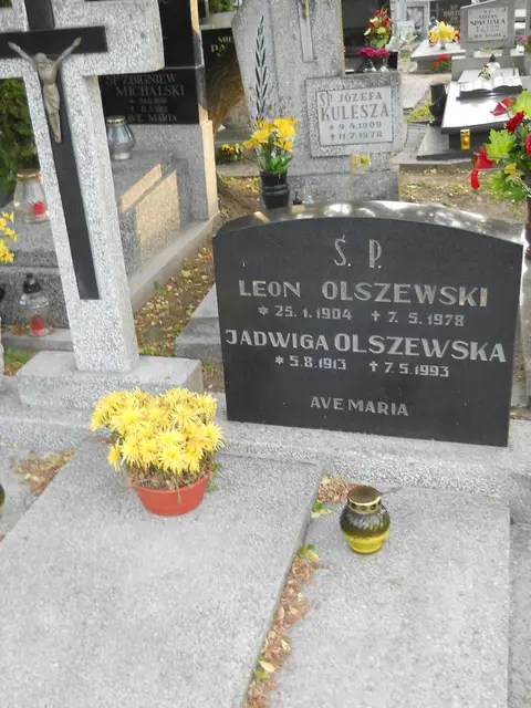 Zdjęcie grobu 7/10784