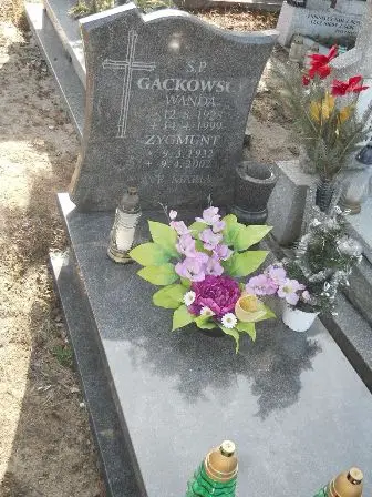 Zdjęcie grobu 1/239a