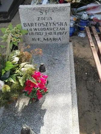 Zdjęcie grobu 8/84
