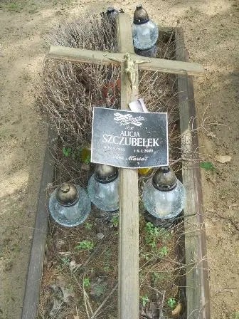 Zdjęcie grobu 26/100