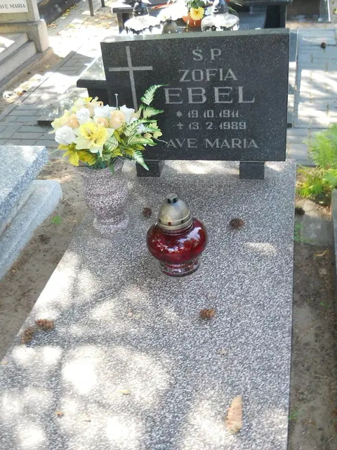 Zdjęcie grobu 17/28089