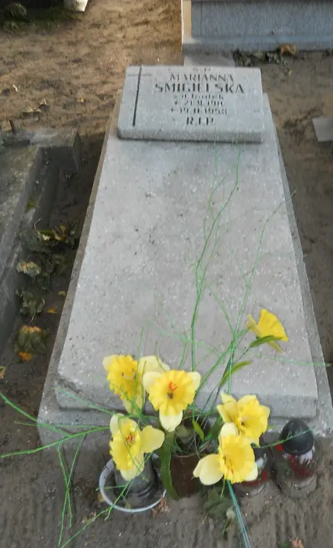 Zdjęcie grobu 13/29031