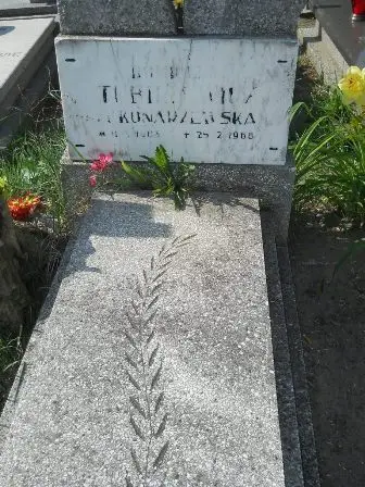 Zdjęcie grobu 20/100