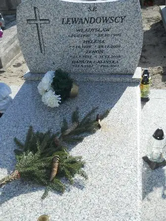 Zdjęcie grobu 1/164