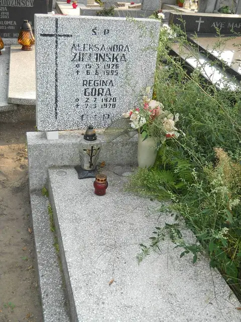 Zdjęcie grobu 23/28820