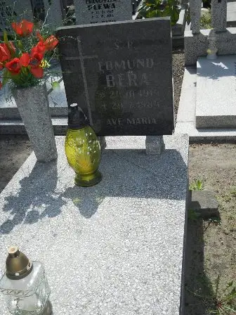 Zdjęcie grobu 25/185