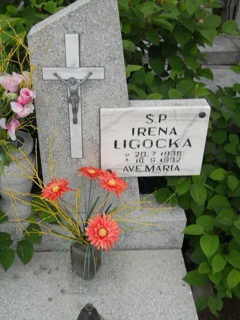 Zdjęcie grobu 27/23216