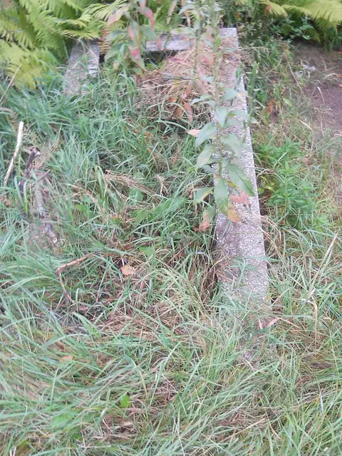 Zdjęcie grobu 14/25983