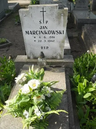 Zdjęcie grobu 24/33