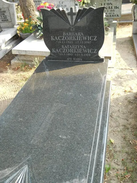 Zdjęcie grobu 23/28758