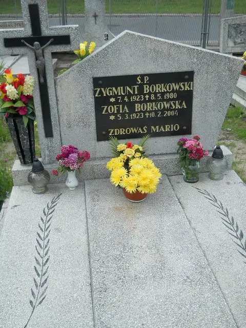 Zdjęcie grobu 7/11687