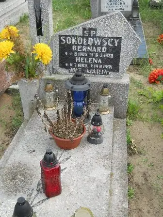 Zdjęcie grobu 42/202