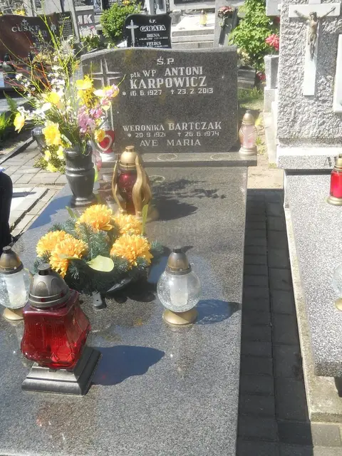 Zdjęcie grobu 5/22535