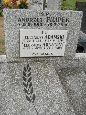 Zdjęcie grobu 36/156