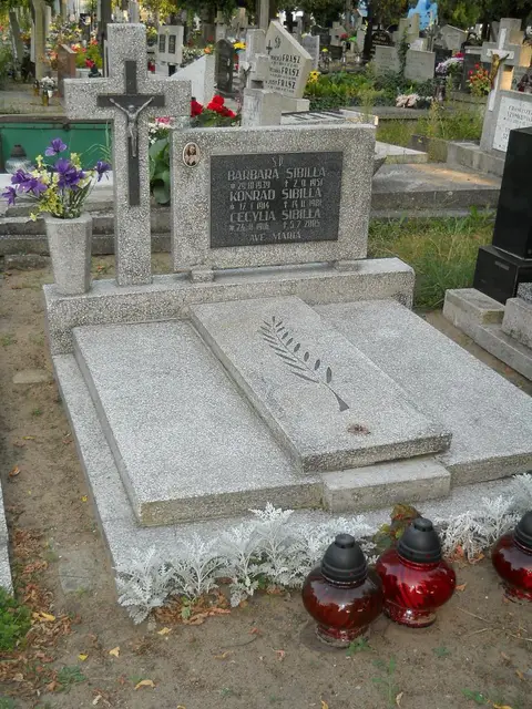 Zdjęcie grobu 15/28896