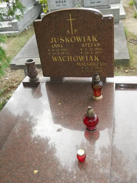 Zdjęcie grobu 9/24601