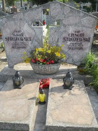 Zdjęcie grobu 42/112,113