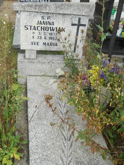 Zdjęcie grobu 16/26443