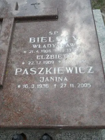 Zdjęcie grobu 21/100