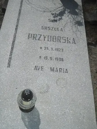 Zdjęcie grobu 25/131